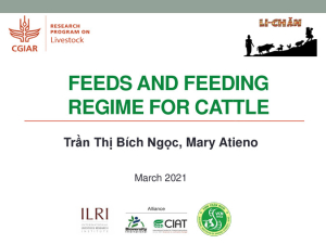 Li-chan_Feeds and feeding regime for cattle.pdf.jpg