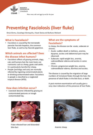 Liverfluke_leaflet.pdf.jpg