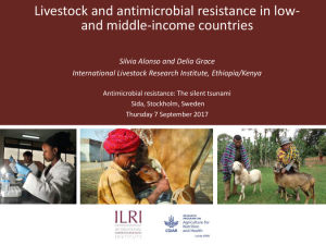 Livestock AMR LMIC.pdf.jpg