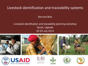 Livestock identification and traceability systems.pdf.jpg