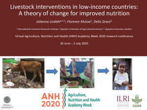 Livestock interventions TOC.pdf.jpg