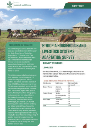 LivestockClimate_SurveyBrief_Ethiopia_en.pdf.jpg