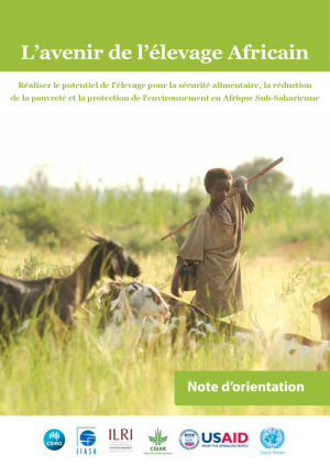 Livestock_PolicyBrief_fr.pdf.jpg
