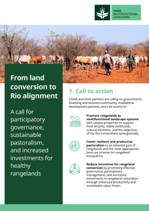 MFL_Brief_UNCCD_Rangelands.pdf.jpg