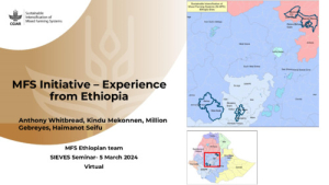 MFS Ethiopian Experience_2024.pdf.jpg