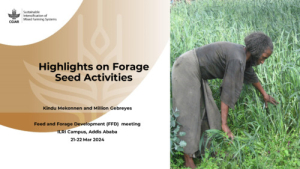 MFS_highlights_forage_2024.pdf.jpg