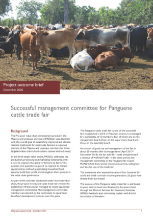 MagtofPanguneCattle_outcome brief.pdf.jpg