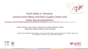 Maize dairy TZ.pdf.jpg