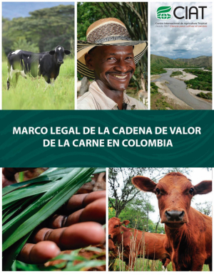 Marco_legal_de_la_cadena_de_valor_de_la_carne_en_Colombia.pdf.jpg