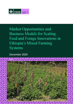 Market Opportunities_2025.pdf.jpg