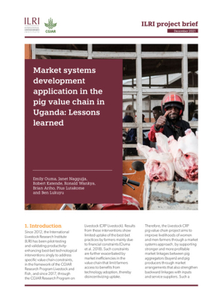 MarketSystemsDevelopmentApplication.pdf.jpg