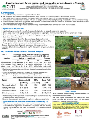 Maziwa_Zaidi_policy_forum_poster_Mwilawa_vfinal.pdf.jpg