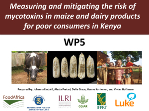 Measuring mitigating aflatoxin risk.pdf.jpg