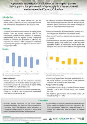 Mejia et al. 2019. Agronomic evaluation of a collection of the tropical pasture Chloris gayana for year round forage supply in a dry sub-humid environment in Córd.pdf.jpg