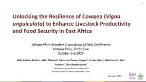 Meki_APBA2025.pdf.jpg Meki_APBA2025.pdf.jpg