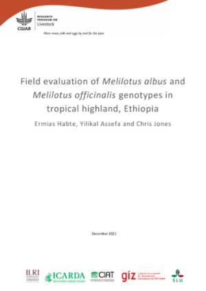 Melilotus field evaluation report.pdf.jpg