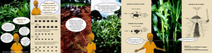 More from maize leaflet Swahili.pdf.jpg