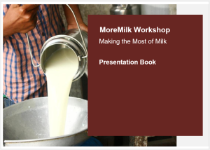 MoreMilk presentation book.png