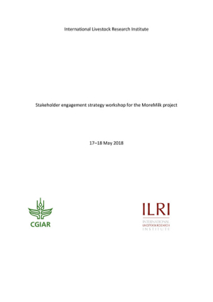 MoreMilk stakeholder engagement workshop report.pdf.jpg