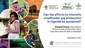 Mwema_Pig productivity.pdf.jpg