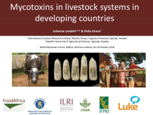 Mycotoxins livestock.jpg