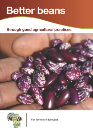 N2Africa_EthiopiaCommonbeansBooklet.pdf.jpg