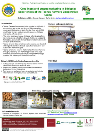 N2Africa_poster_endalkachew_jan2016.pdf.jpg