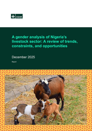 NLMP_Gender_Report_1_DeskReview.pdf.jpg