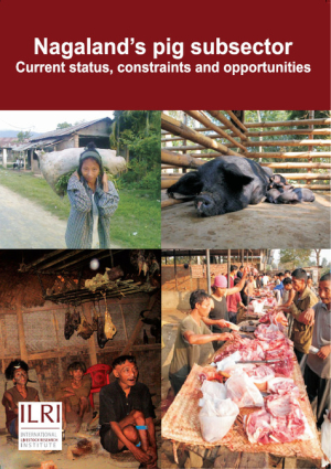 NagalandPigProjectReport.pdf.jpg