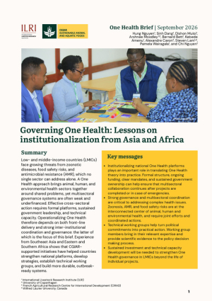 OH Brief_governance_v2.pdf.jpg