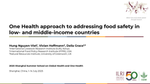 OH food safety LMIC.pdf.jpg