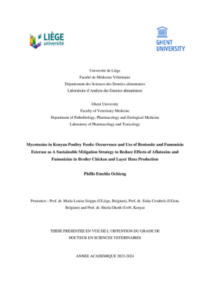 Ochieng thesis.pdf.jpg