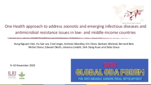 One Health LMIC.jpg