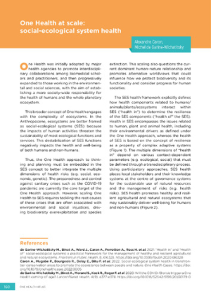 One Health at scale.pdf.jpg