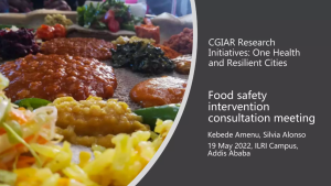 One Health resilient cities.png