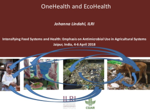 One health ecohealth.jpg