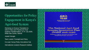 OpportunitiesPolicyEngagementKenyas_AFS.pdf.jpg OpportunitiesPolicyEngagementKenyas_AFS.pdf.jpg