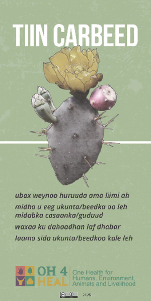 Optunia_sticker_Somali.pdf.jpg