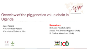 Overview of pig genetics value chain in Uganda.pdf.jpg