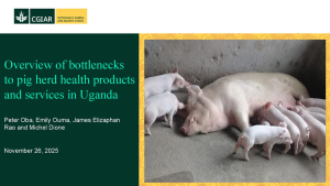 Overview of pig herd health.pdf.jpg