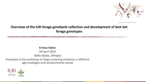 Overview of the ILRI forage genebank_2024.pdf.jpg