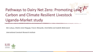 PADNET Market Study Uganda.pdf.jpg