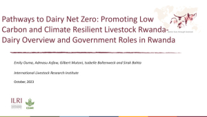 PADNET Market sudy Rwanda.pdf.jpg