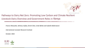 PADNET_Market study Kenya.pdf.jpg