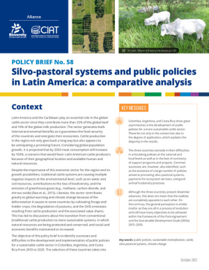 PB 58 SPS and Public Policies in Latin America_A Comparative Analysis.pdf.jpg
