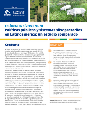 PB 58 Políticas públicas y sistemas silvopastoriles en Latinoamérica_Un estudio comparado.pdf.jpg