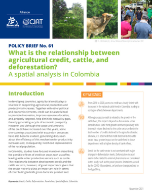 PB 61 Agricultural credit, cattle and deforestation_EN.pdf.jpg