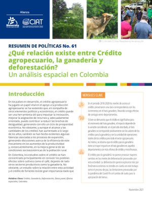 PB 61 Agricultural credit, cattle and deforestation_SP.pdf.jpg