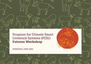 PCSL Ethiopia report.pdf.jpg