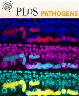 PLOS Pathogens.jpg